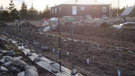 What Does it Take to Live Off-Grid? Join Us to Find out! Image